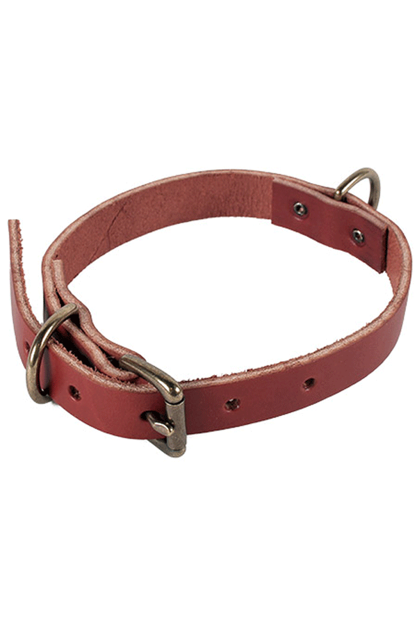 Union Wood Co. Dog Collar - Brown Union Wood Co. Dog Collar - Brown