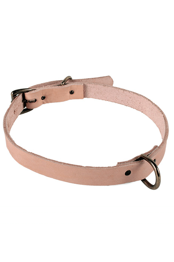 Union Wood Co. Dog Collar - Natural Union Wood Co. Dog Collar - Natural