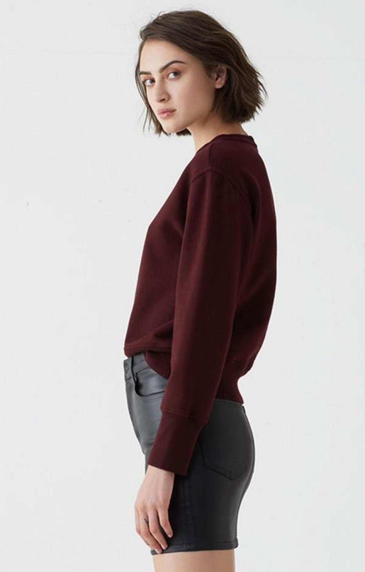 agolde shrunken sweatshirt