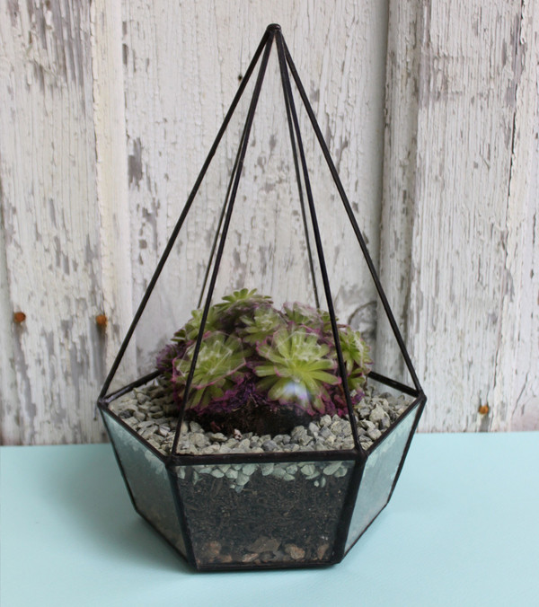 Halona Glass Three Tier Planter Halona Glass Three Tier Planter