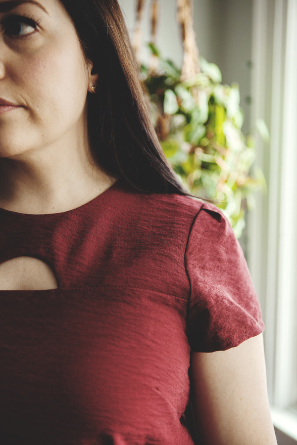 Birds of North America Weaver Dress (Burgundy) Birds of North America Weaver Dress (Burgundy)