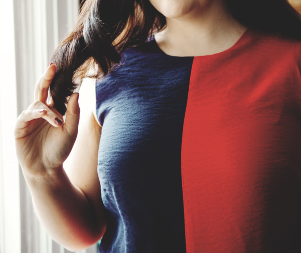 Birds of North America Vanga Dress (Red and Navy) Birds of North America Vanga Dress (Red and Navy)