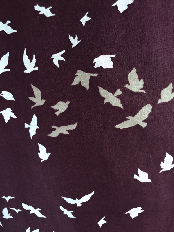 SBJ Austin Mary Dress in Bird Print SBJ Austin Mary Dress in Bird Print