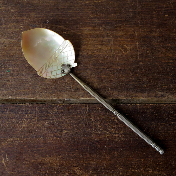 mother of pearl serving spoon mother of pearl serving spoon