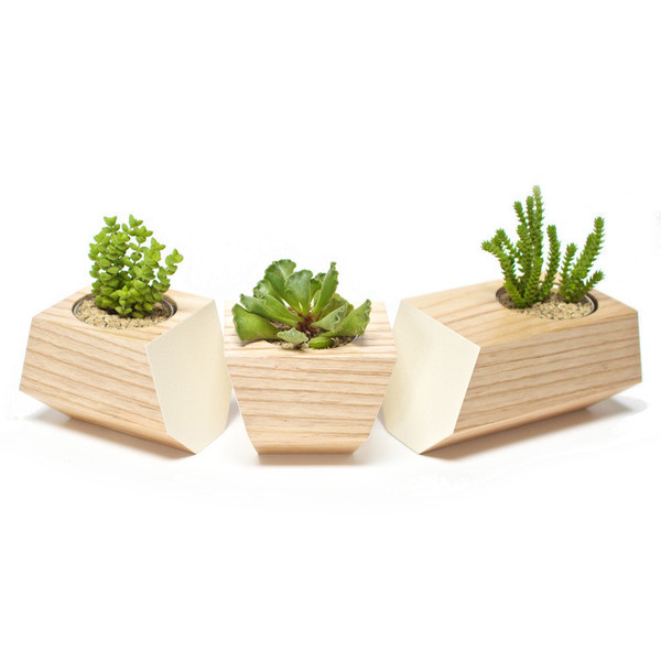 Revolution Design House Boxcar Bamboo & Blue Revolution Design House Boxcar Bamboo & Blue