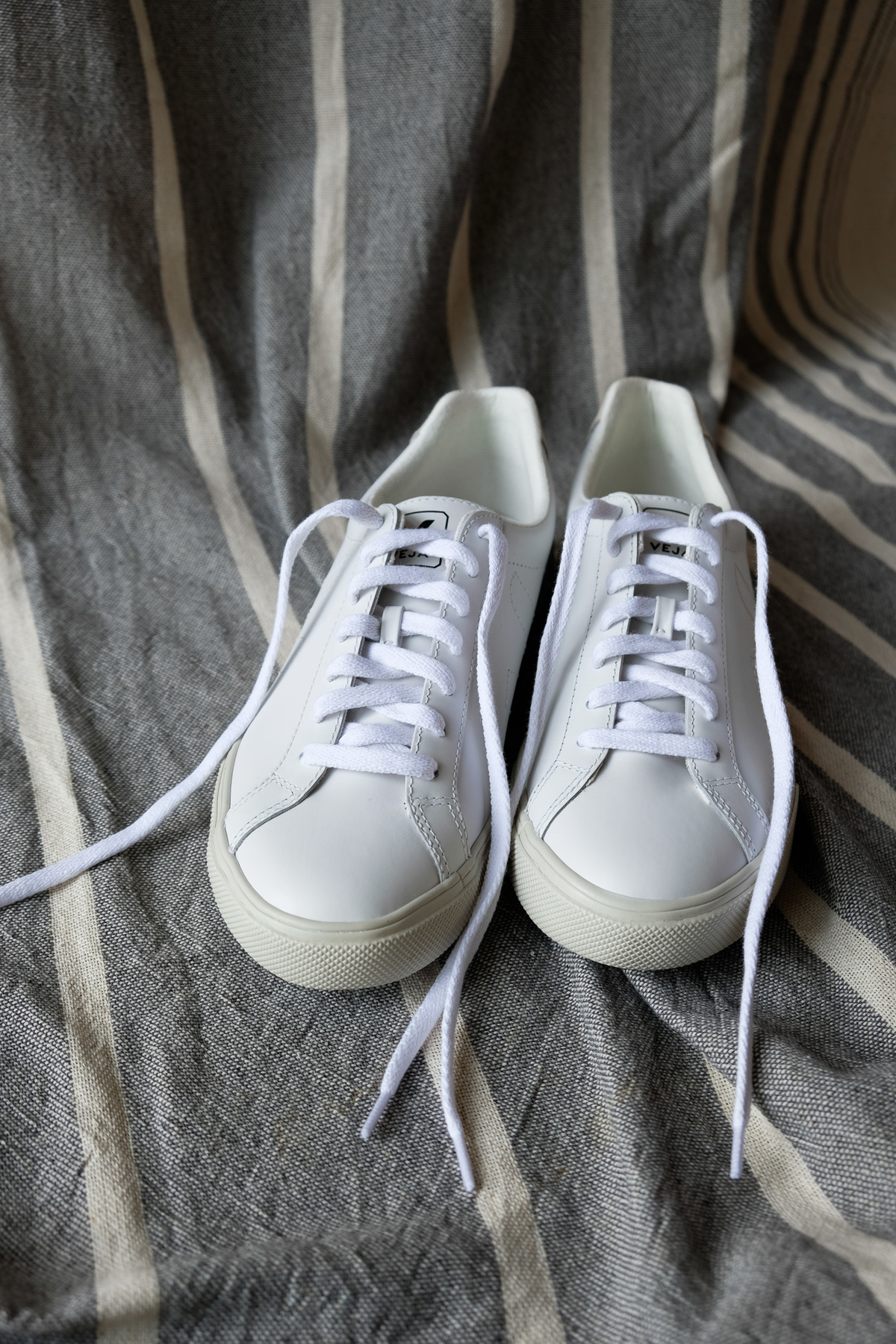 Veja Esplar Lace Up Sneaker - Extra White | Garmentory