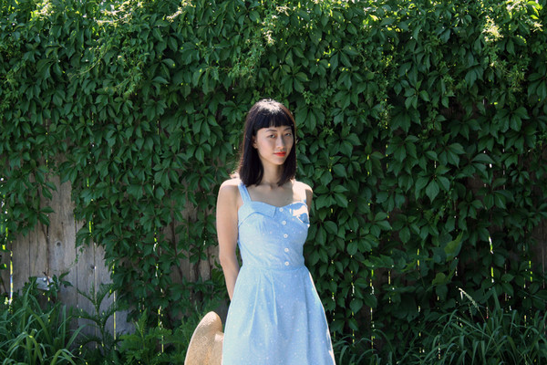 Birds of North America Sylph (Blue Starlight) Birds of North America Sylph (Blue Starlight)