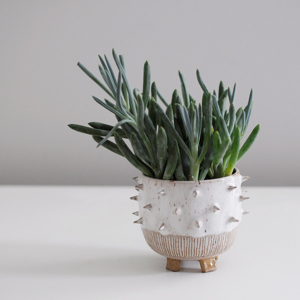 Little Bear Pots Spike Planter Little Bear Pots Spike Planter