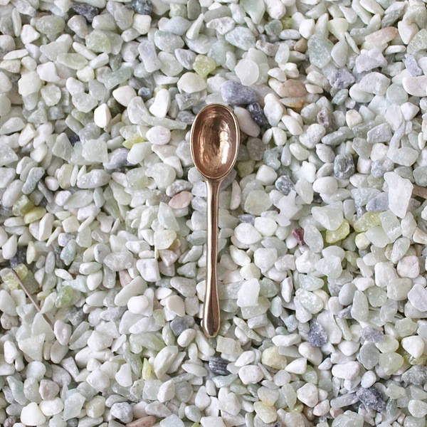 Unknown Oval Bronze Spoon Unknown Oval Bronze Spoon