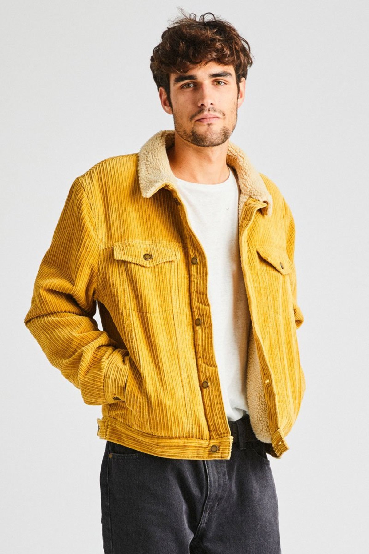 rollas morrison sherpa