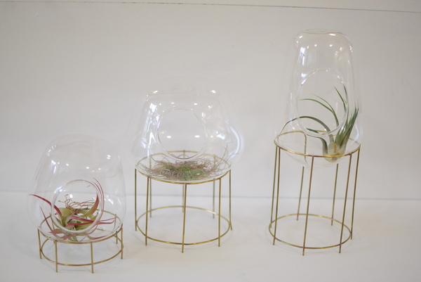 Roost Tabletop Terrarium Set Roost Tabletop Terrarium Set