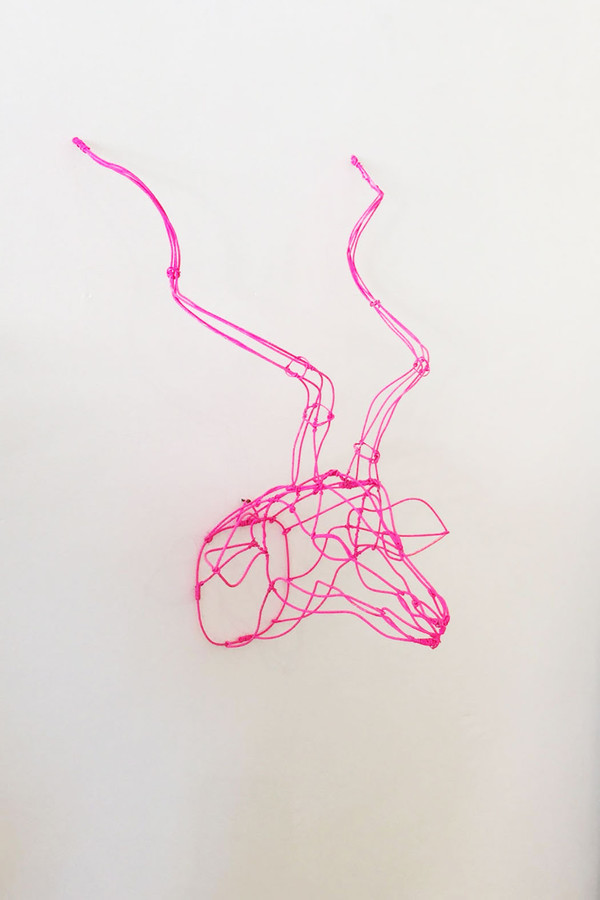 7 on Locust Wire Nyala Head - Pink 7 on Locust Wire Nyala Head - Pink