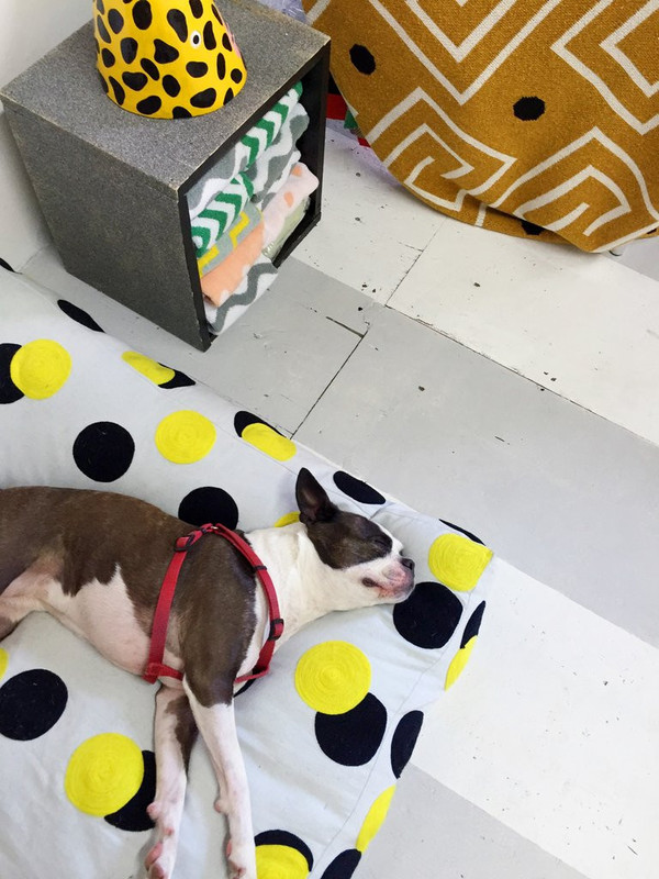 DOUBLE DOT DOG BED DOUBLE DOT DOG BED