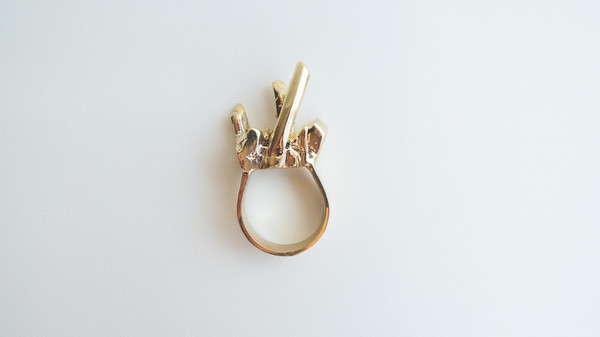 Species By The Thousands Gateway Ring Species By The Thousands Gateway Ring