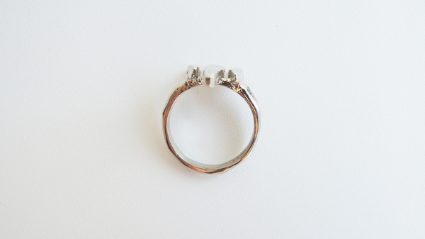 Visitors Ring Visitors Ring