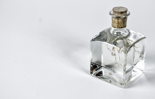 1509 Sophia Pure Fragrance Oil 1509 Sophia Pure Fragrance Oil