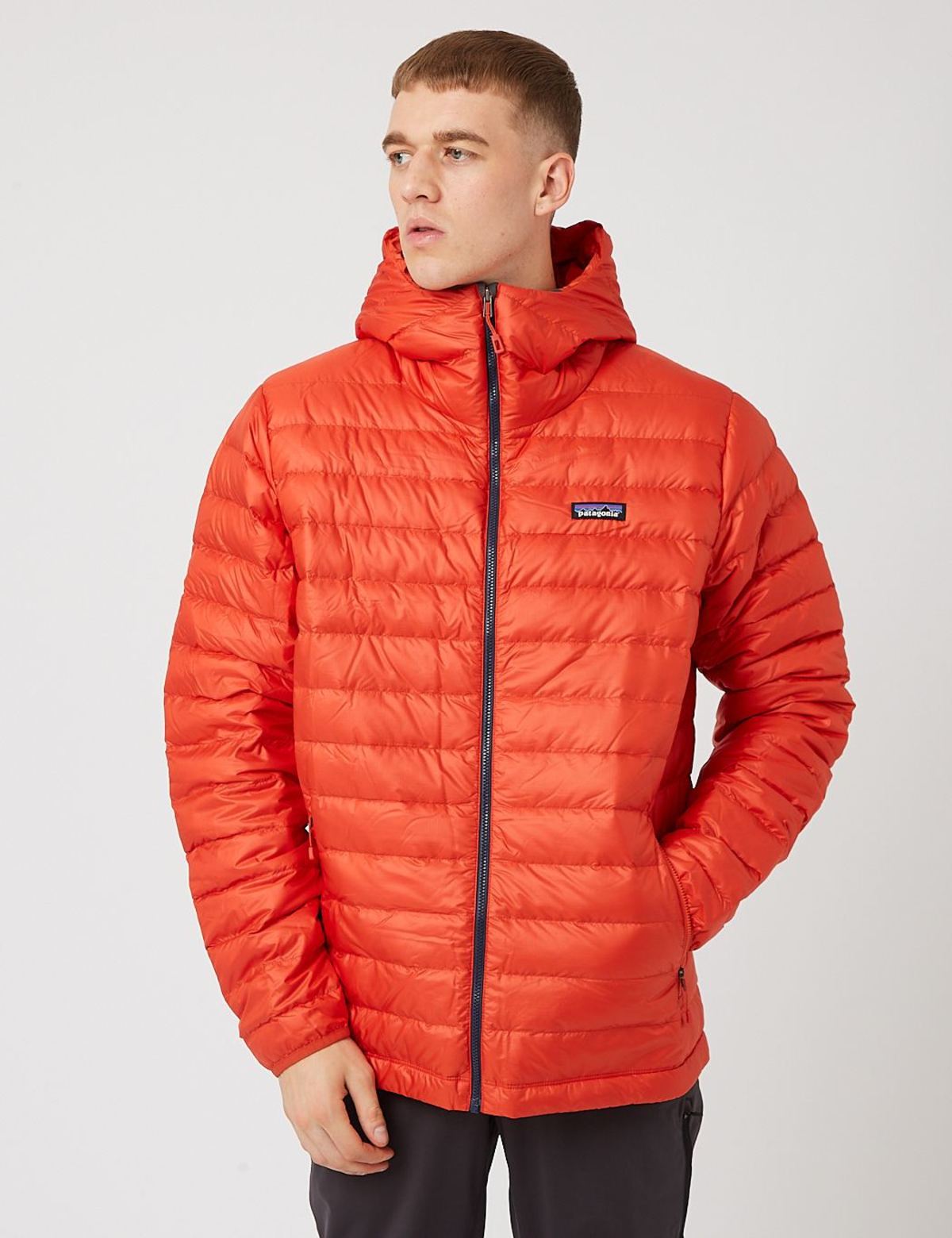 Patagonia Down Sweater Hooded Jacket 