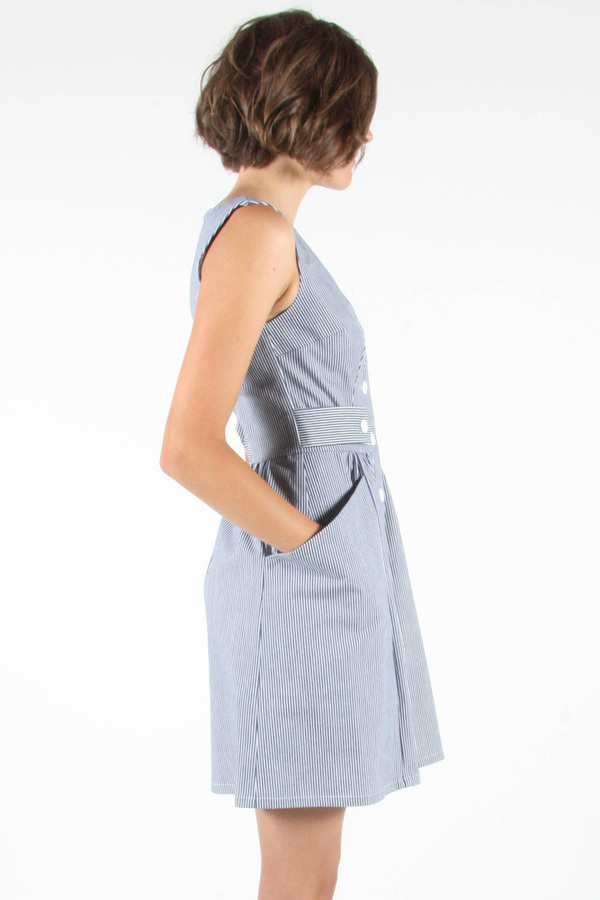 Birds of North America - Parrotlet Dress Birds of North America - Parrotlet Dress