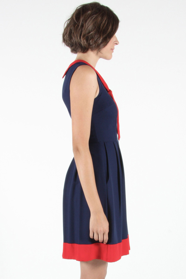 Birds of North America - Hillstar Dress Birds of North America - Hillstar Dress