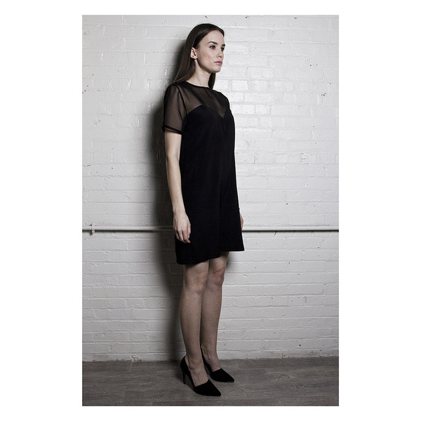 The Sheer Panel Dress The Sheer Panel Dress