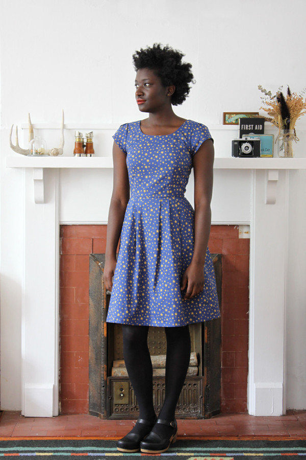 Birds of North America Macaw Dress Stars Print Birds of North America Macaw Dress Stars Print