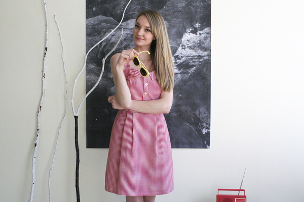 Birds of North America Sylph Dress - Red Gingham Birds of North America Sylph Dress - Red Gingham